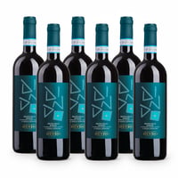 Valpolicella Ripasso DOC Classico Superiore - 6 bottiglie