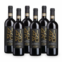 Amarone della Valpolicella DOCG Classico - 6 bottiglie - Giovanni Dindo